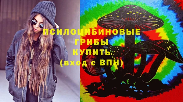 а пвп мука Армянск