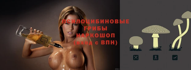 а пвп мука Армянск
