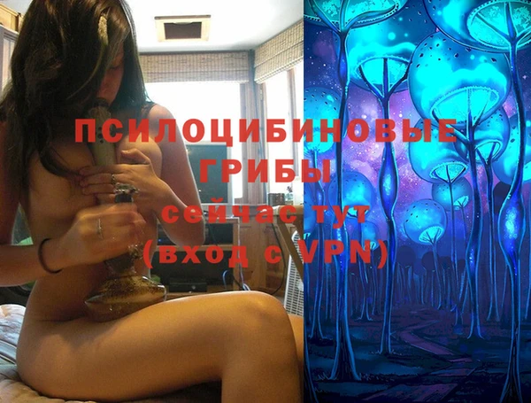 а пвп мука Армянск