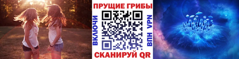 shop Telegram  Семёнов  Галлюциногенные грибы прущие грибы 